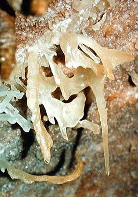 Пещера «Мраморная», представляющая собой огромную карстовую полость на нижнем плато горы Чатыр-Даг, была открыта в октябре 1987 года
