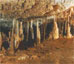 Пещера Мраморная (Автономная республика Крым)